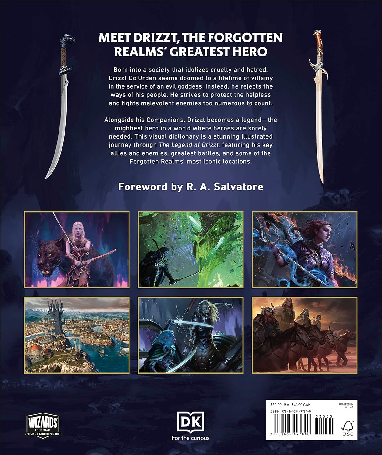 D&D: The Legend of Drizzt Visual Dictionary